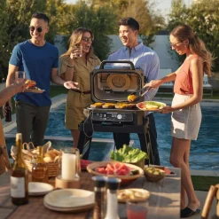 Barbacoa y freidora de aire Woodfire Pro XL Ninja®