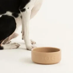 Bol cerámico para perros y mascotas Mason Cash