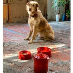 Bote contenedor con cuchara Le Creuset