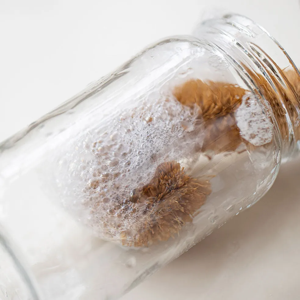 Cepillo de coco para botellas Natural Elements de KitchenCraft