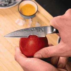 Cuchillos de acero damasco japonés Pakka Damas Kotai