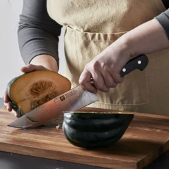 Cuchillos de cocina Pro Zwilling