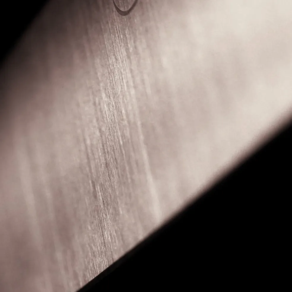 Cuchillos de cocina Signature Dumas Sabatier®