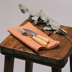 Cuchillos Pallarès INOX con mango de boj (mesa y cocina)
