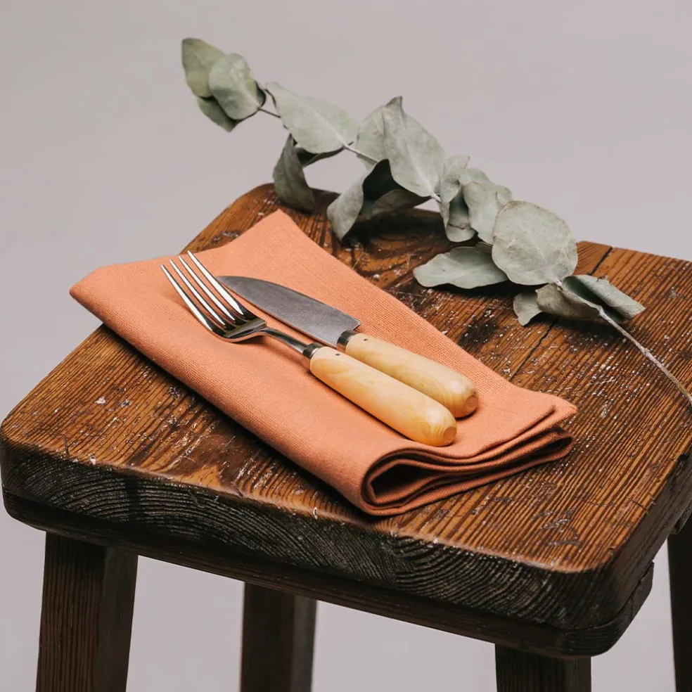 Cuchillos Pallarès INOX con mango de boj (mesa y cocina)