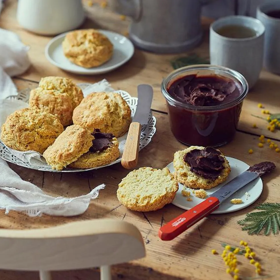 Cuchillos para desayuno Opinel