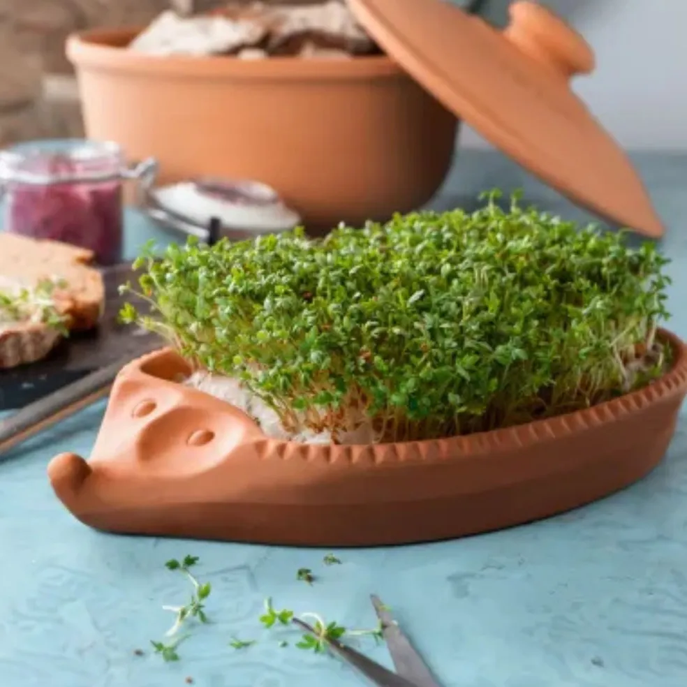 Germinador para semillas de terracota Römertopf