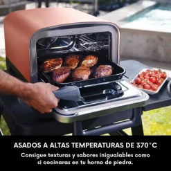Horno eléctrico exterior de pellet Woodfire Ninja®