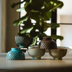 Juego de 5 boles de porcelana para aperitivos Sara Bredemeijer