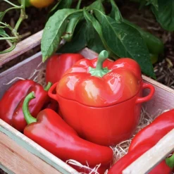 Mini cocotte cerámica hortalizas Staub