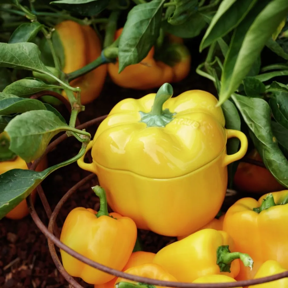 Mini cocotte cerámica hortalizas Staub
