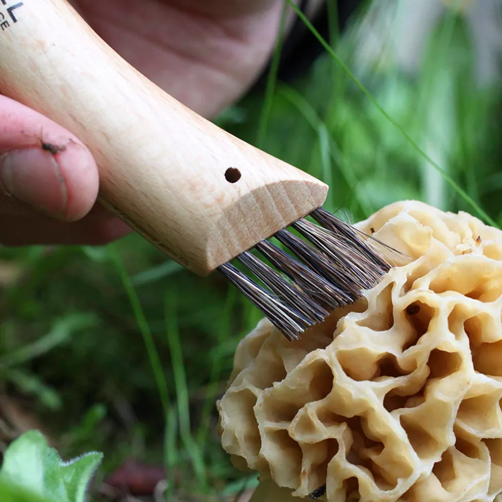Navaja para setas Opinel Nº8