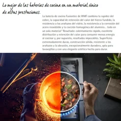 Olla Baja Rustidera de hierro fundido WMF FusionTec