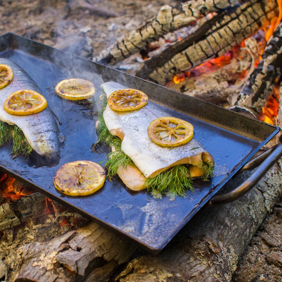 Plancha rectangular de hierro con asas Lodge
