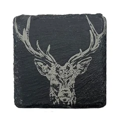 Posavasos individuales de pizarra Selbrae