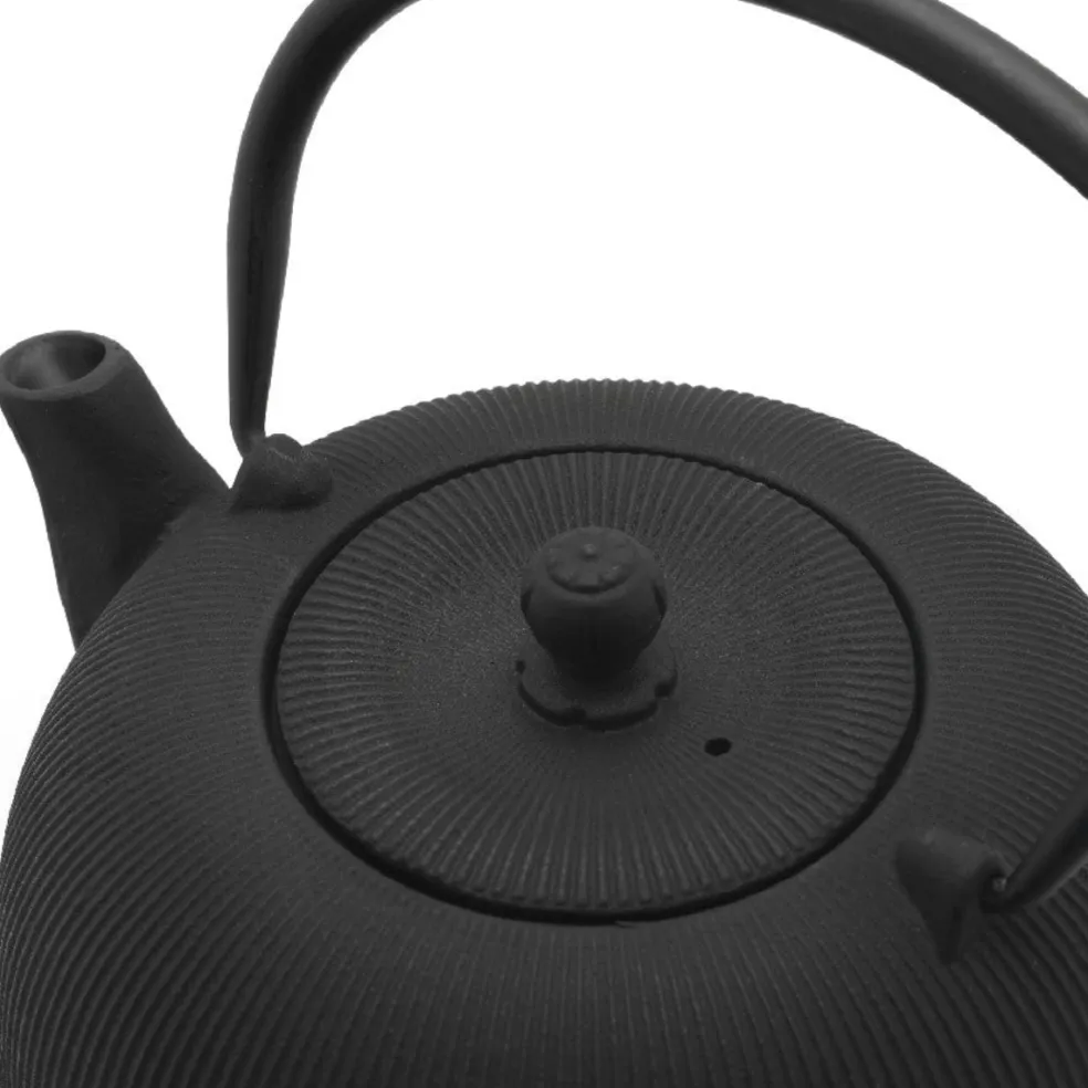 Set de té con tetera de hierro fundido y 2 tazas de porcelana Sichuan Bredemeijer