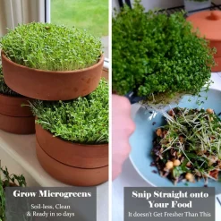 Tarro germinador Germilife